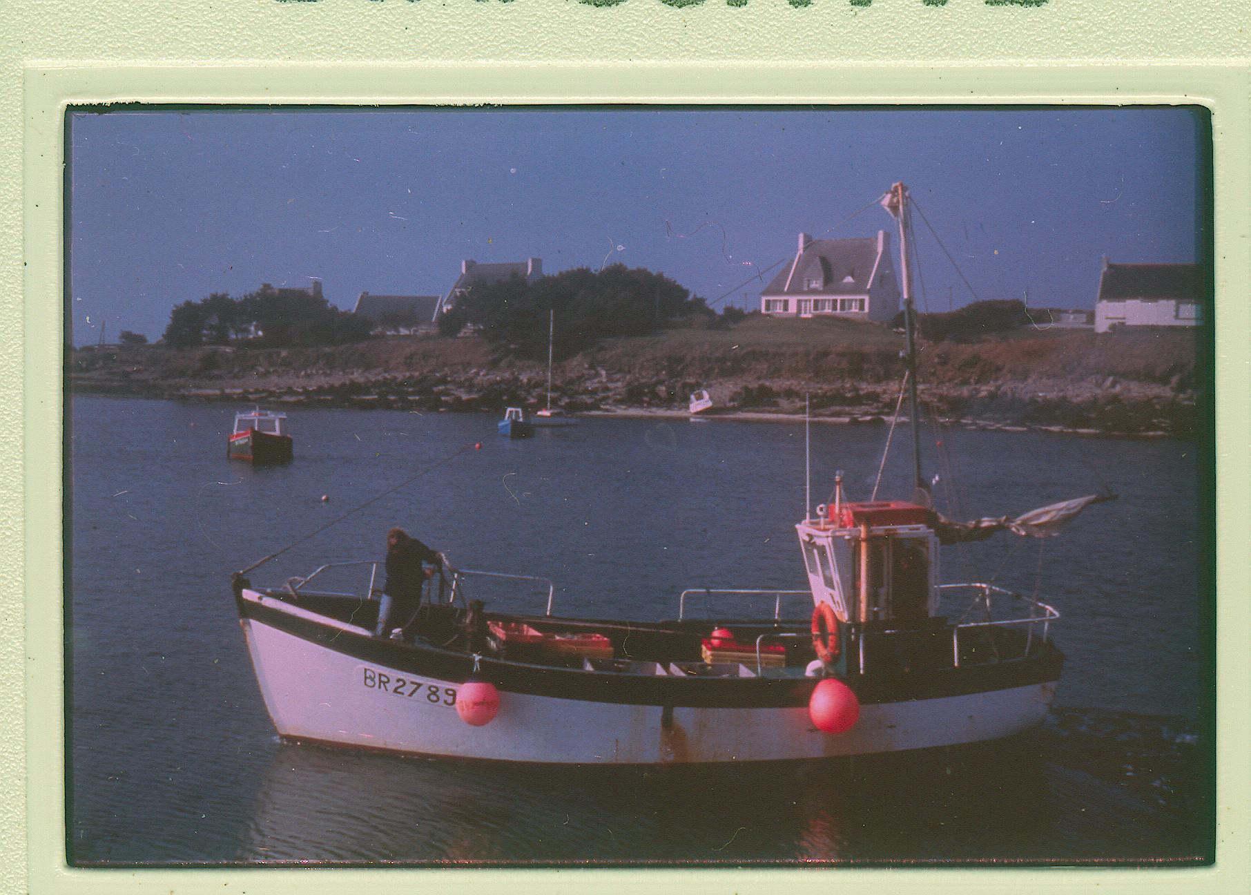 Archantell 1984 1