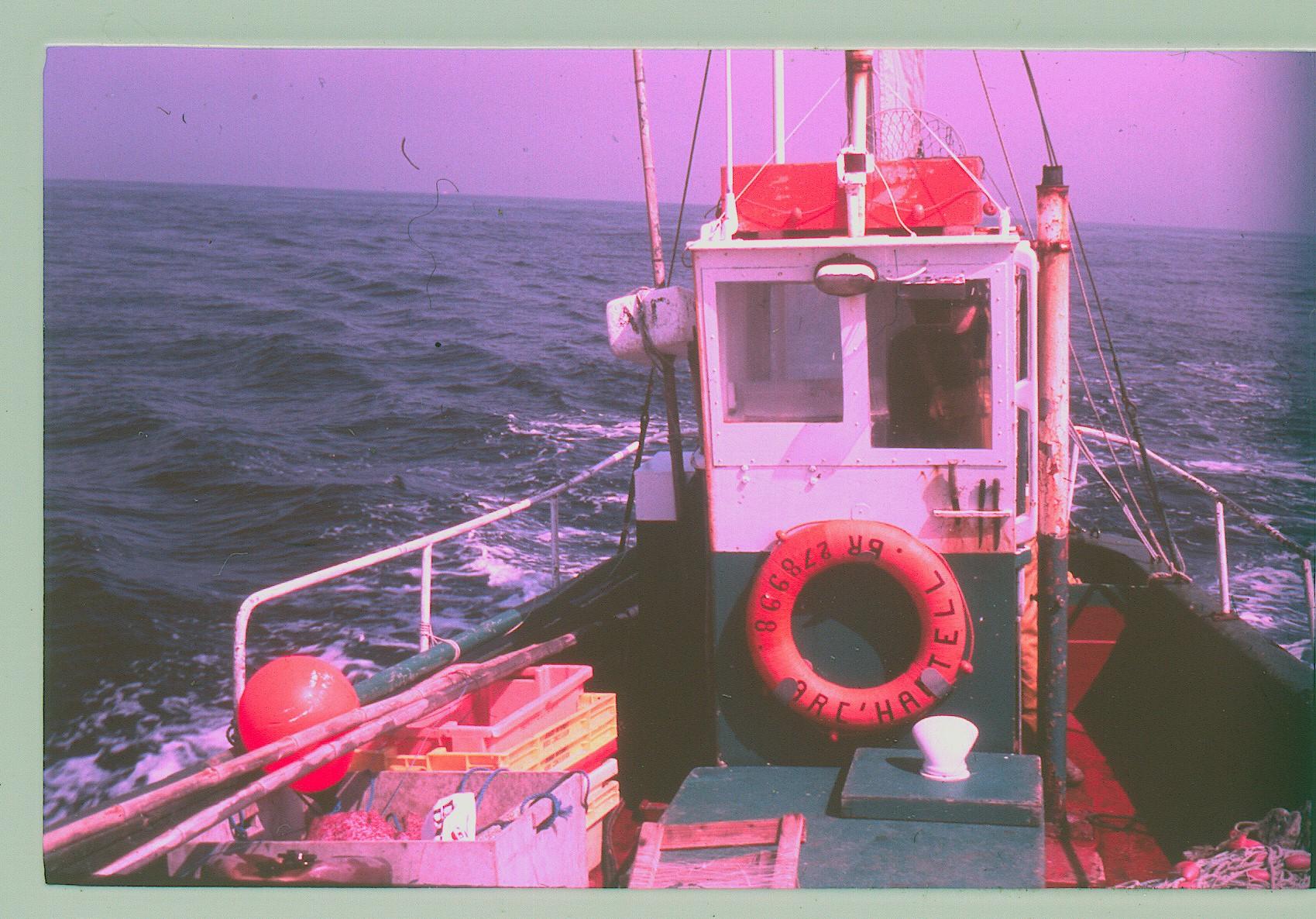 Archantell 1984 3