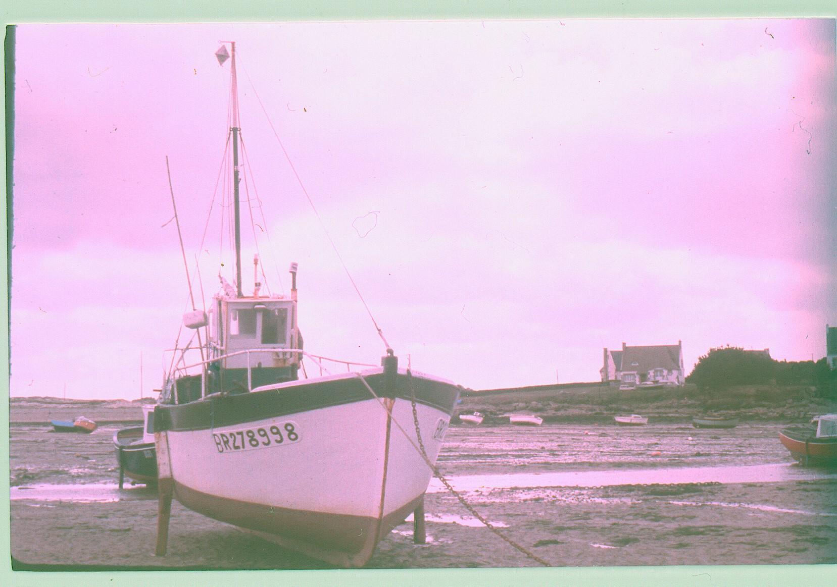 Archantell 1984 7