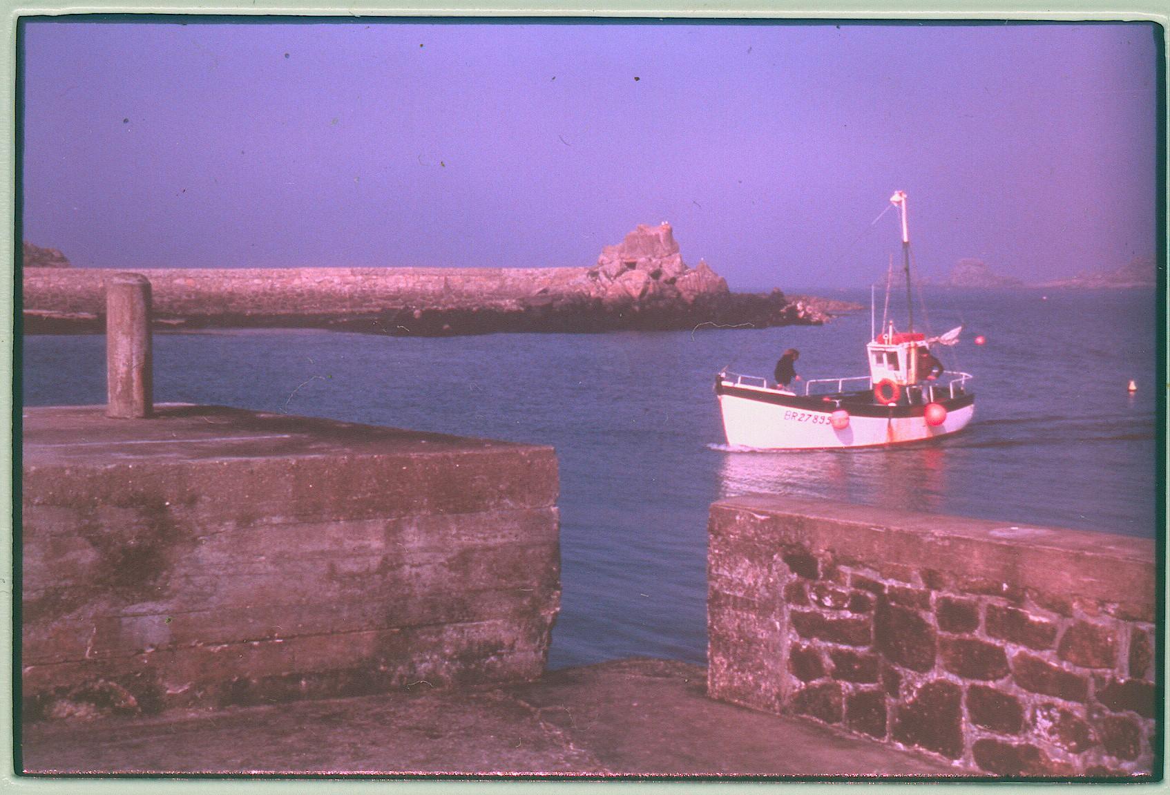 Archantell 1984 9